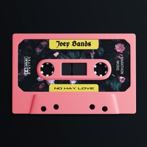 No Hay Love (Single)
