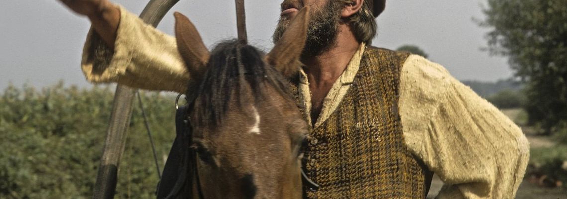 Cover Un violon sur le toit