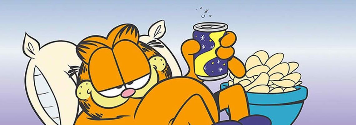 Cover Voilà Garfield