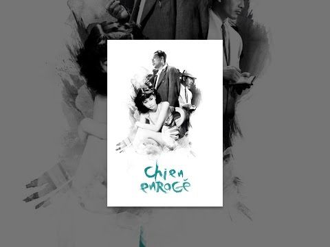 Bande-annonce de Chien enragé