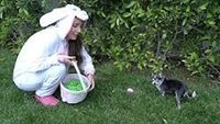 Doing An Easter Egg Hunt For My Dogs