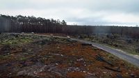 Tackling Tassie (2)