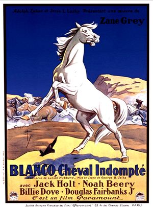 Blanco, cheval indompté