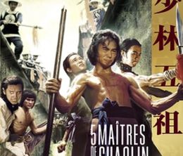 image-https://media.senscritique.com/media/000019093786/0/les_cinq_maitres_de_shaolin.jpg