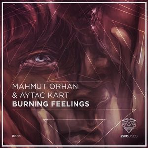 Burning Feelings (Single)