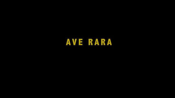 Ave Rara