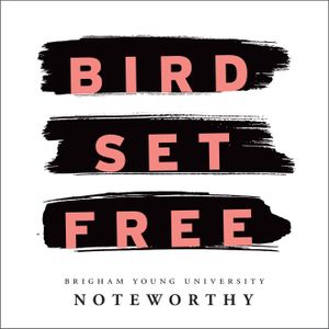 Bird Set Free (Single)