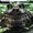 Avatar Foxtrot_666