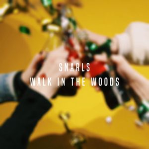 Walk in the Woods (Single)