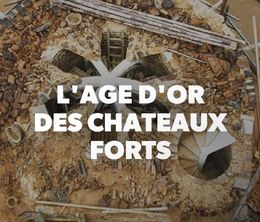 image-https://media.senscritique.com/media/000019108464/0/l_age_d_or_des_chateaux_forts.jpg