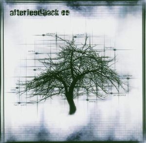 Afterfeedback