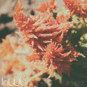 InWi (Single)