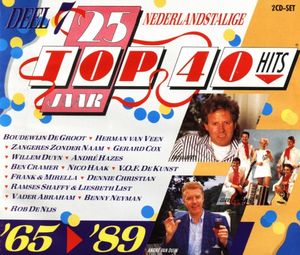 25 jaar Top 40 Hits, Deel 7: Nederlandstalig 1965-1989