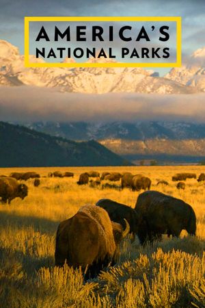 Les Parcs nationaux américains