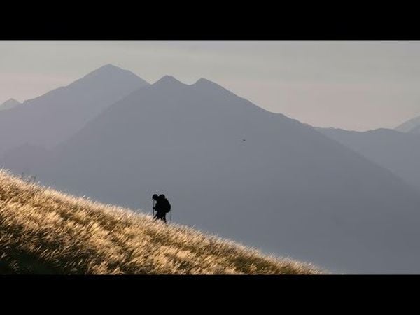 Marche avec les loups