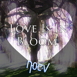 Love Is In Bloom (Single)