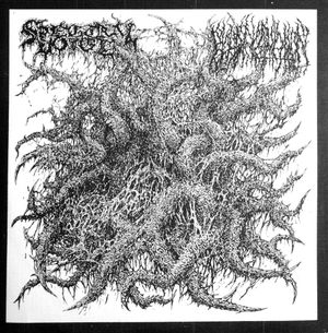 Spectral Voice / Blood Incantation (Single)