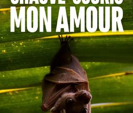 image-https://media.senscritique.com/media/000019124338/0/chauve_souris_mon_amour.jpg