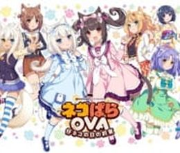 image-https://media.senscritique.com/media/000019129906/0/Nekopara_OVA_Extra.jpg