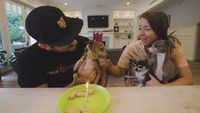 peach's 5th birthday