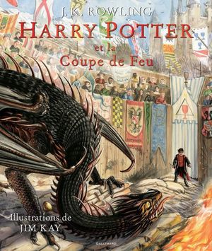 Harry Potter et la Coupe de Feu (illustré par Jim Kay)