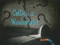 CatDog In Winslow Land