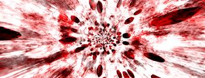 Euphoric Entropy EP (EP)