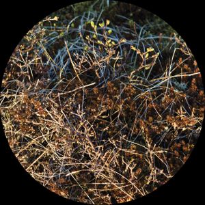 Discussion of Interests (EP)