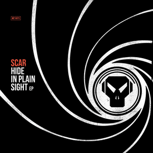 Hide in Plain Sight EP (EP)