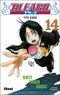 White Tower Rocks - Bleach, tome 14