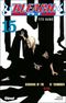 Beginning of the Death of Tomorrow - Bleach, tome 15