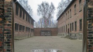 Les expérimentations médicales à Auschwitz