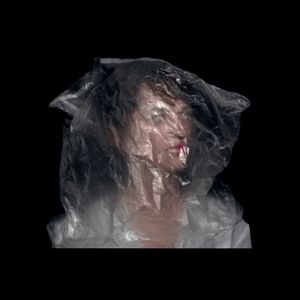 Bubblewrap (Single)