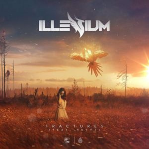 Fractures (Single)
