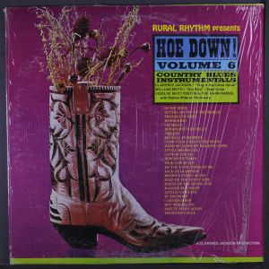 Hoe Down! Volume 6: Country Blues Instrumentals