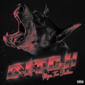 B.I.T.C.H. (Single)