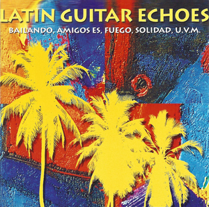 Latin Guitar Echoes