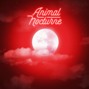 Animal Nocturne