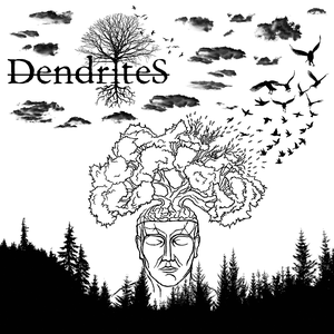 Dendrites