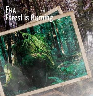 Forest is Burning