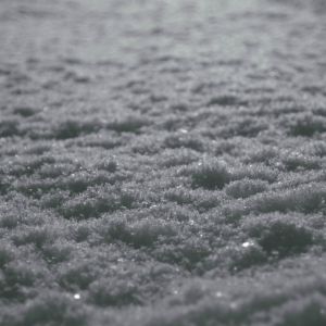 Schnee (III) (Single)