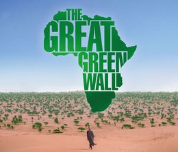image-https://media.senscritique.com/media/000019176628/0/the_great_green_wall.jpg