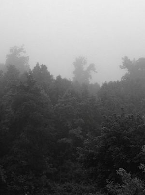 Twilight Fauna (EP)