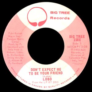 Don’t Expect Me to Be Your Friend (Single)