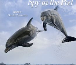 image-https://media.senscritique.com/media/000019180244/0/dolphins_spy_in_the_pod.jpg