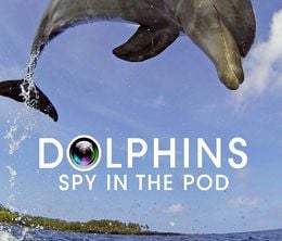 image-https://media.senscritique.com/media/000019180247/0/dolphins_spy_in_the_pod.jpg