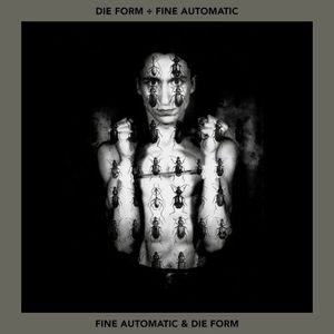 Fine Automatic & Die Form