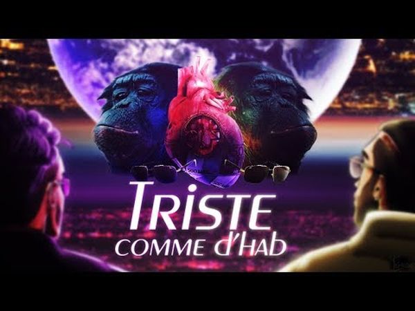 TRISTE COMME D'HAB (Une plongée dans l'univers de PNL)