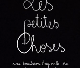 image-https://media.senscritique.com/media/000019185393/0/les_petites_choses.png