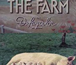 image-https://media.senscritique.com/media/000019187231/0/the_farm.jpg